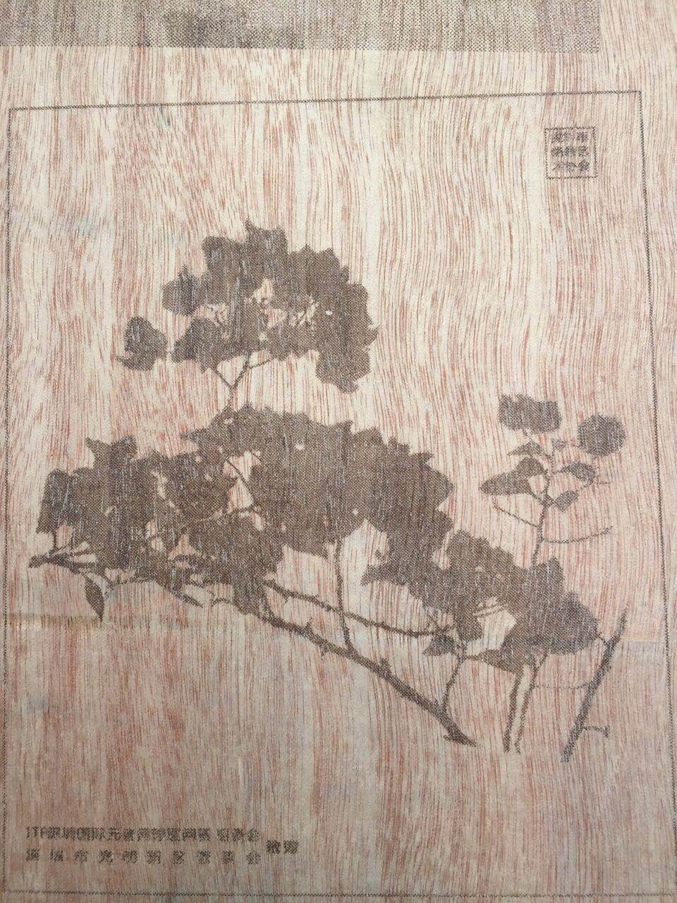 是喜是憂總統(tǒng)特朗普被彈劾是一件好事嗎？