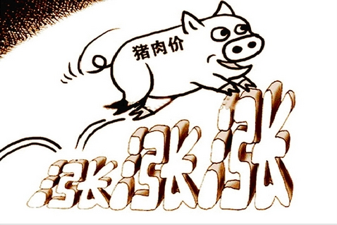 月薪2萬(wàn)招聘養(yǎng)豬,豬在2019年豬真的飛天啦！